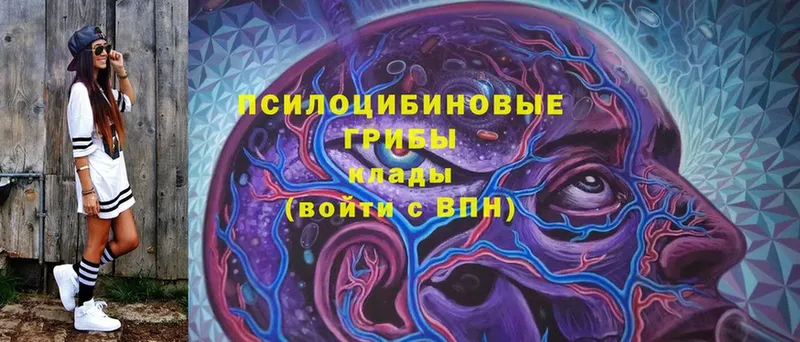 Галлюциногенные грибы Magic Shrooms  Коряжма 